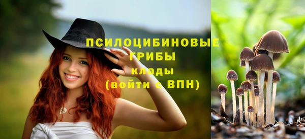 молекула духа Алзамай
