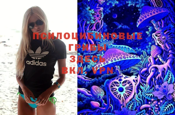 молекула духа Алзамай