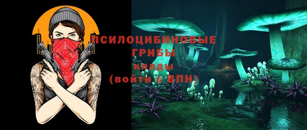 молекула духа Алзамай