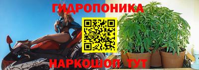 СК Гатчина