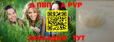 СК Гатчина