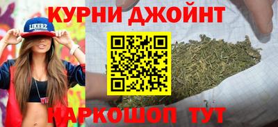 СК Гатчина