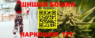 СК Гатчина