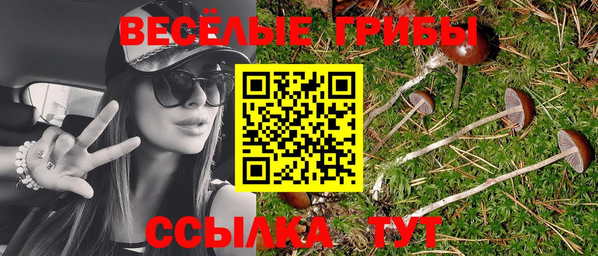 Псилоцибиновые грибы GOLDEN TEACHER  наркотики  Псилоцибиновые грибы GOLDEN TEACHER  Тамбов  Вход с VPN 